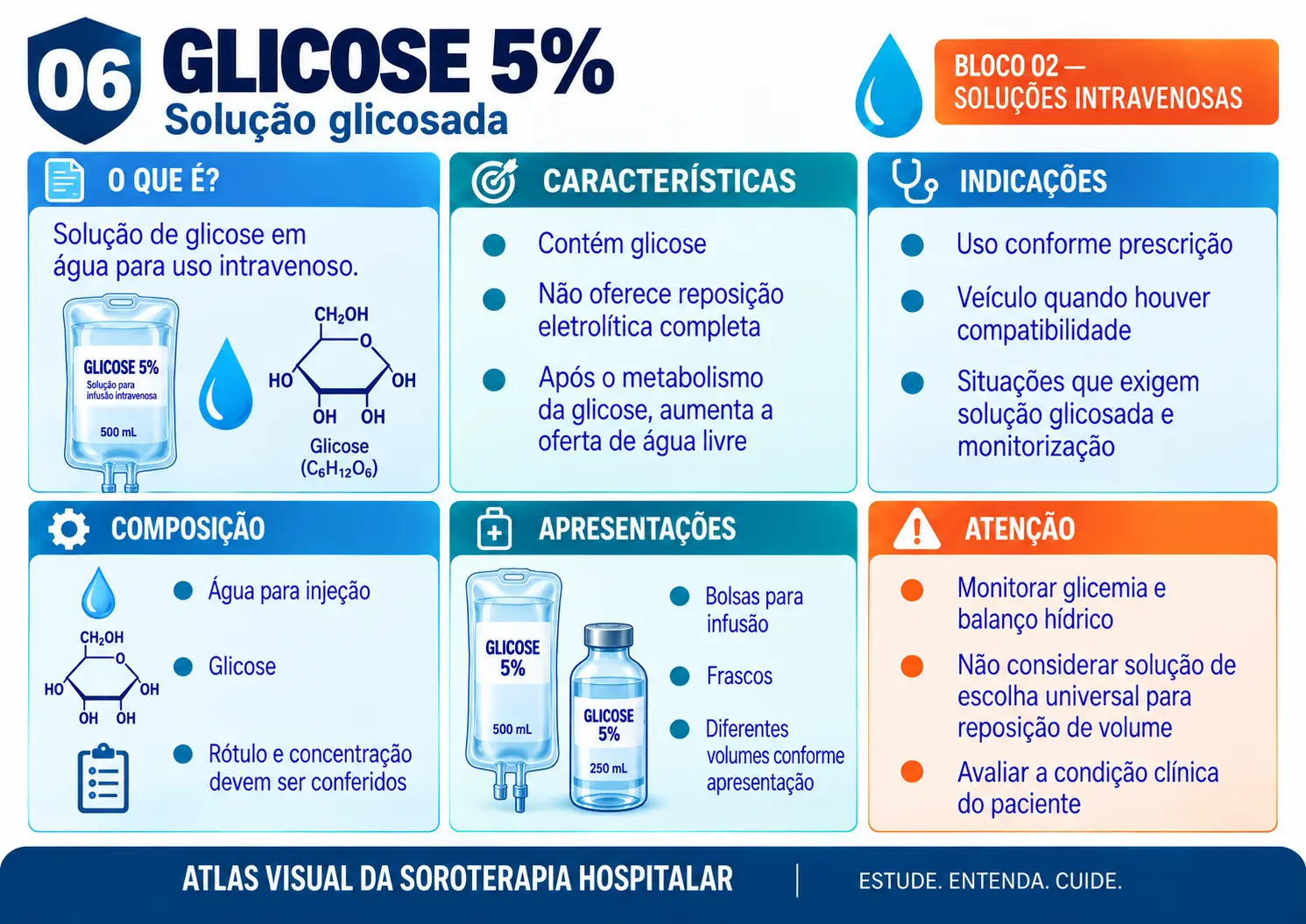 Prévia de ficha visual de soroterapia 1