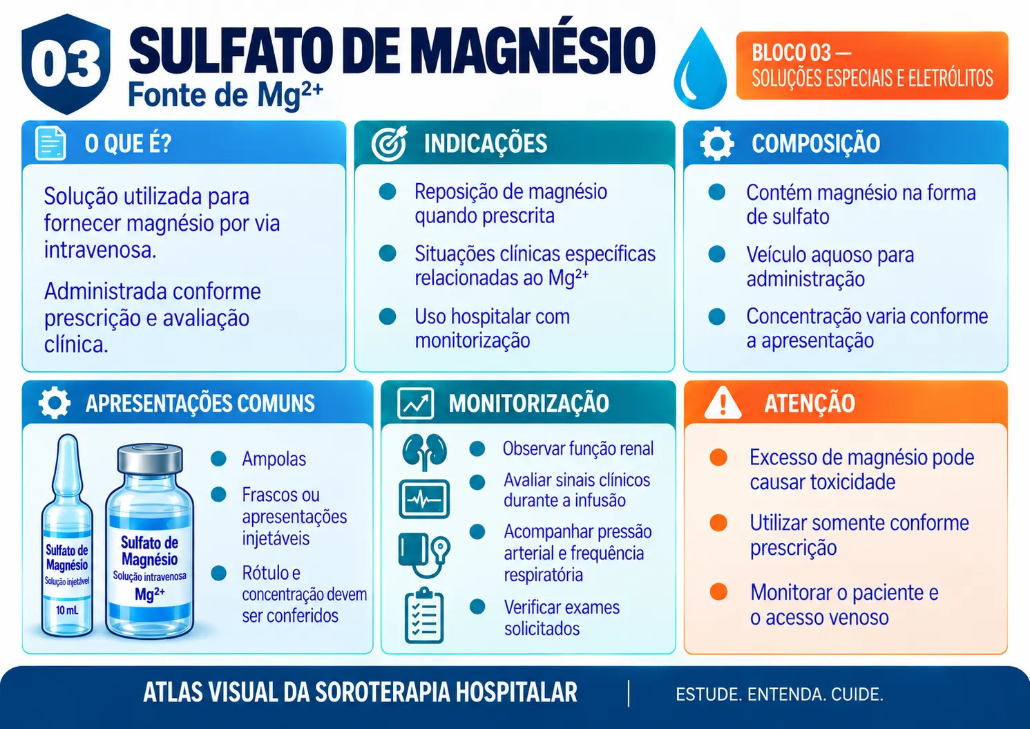 Prévia de ficha visual de soroterapia 3