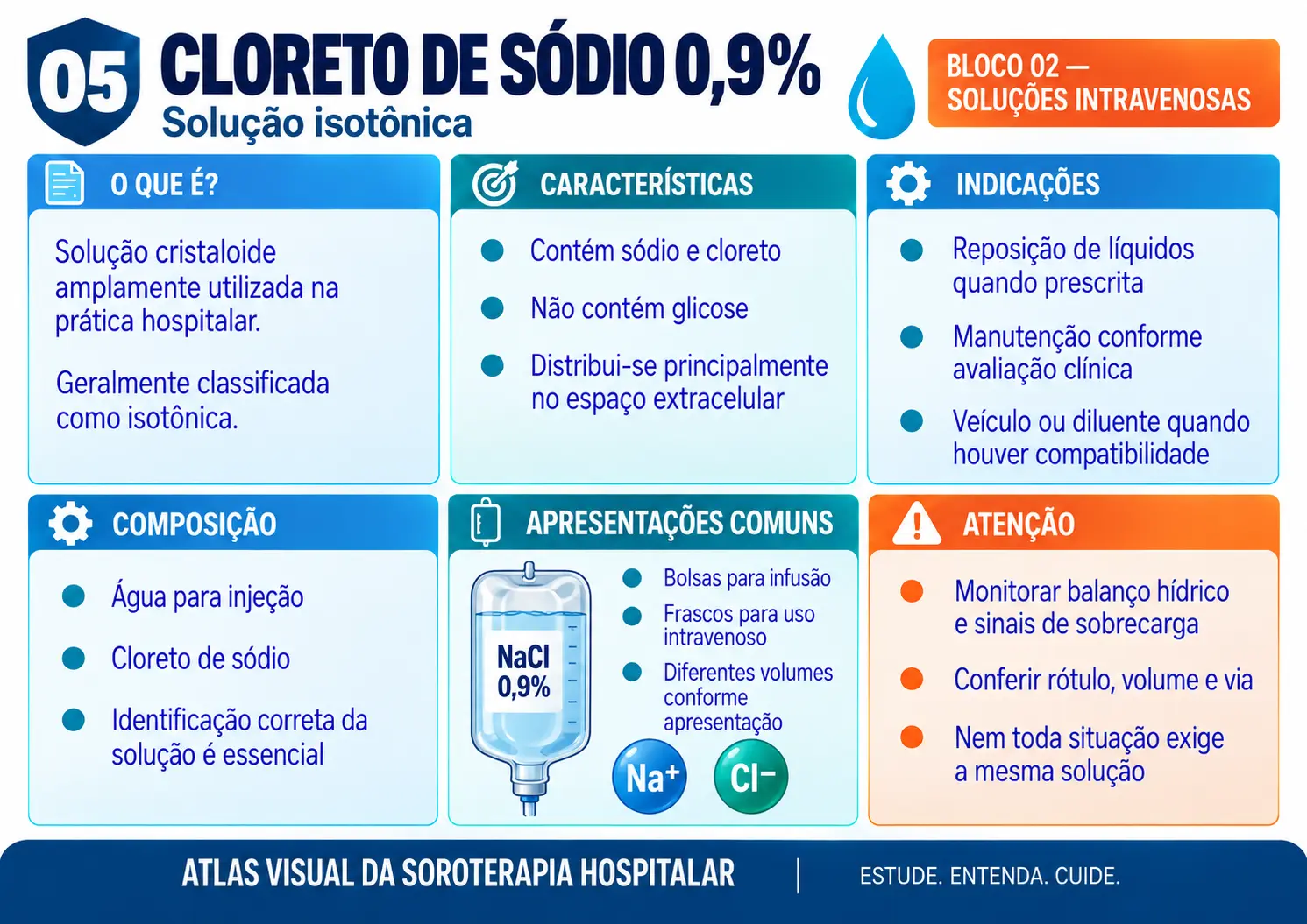 Prévia de ficha visual de soroterapia 5