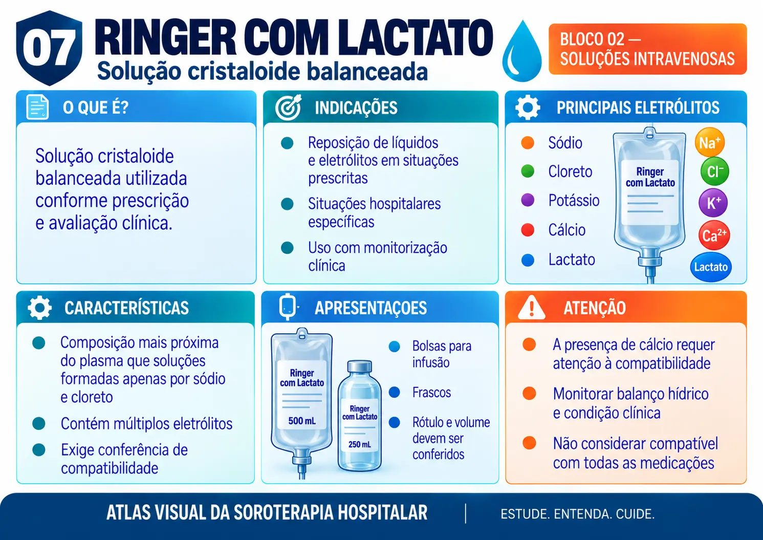 Prévia de ficha visual de soroterapia 2