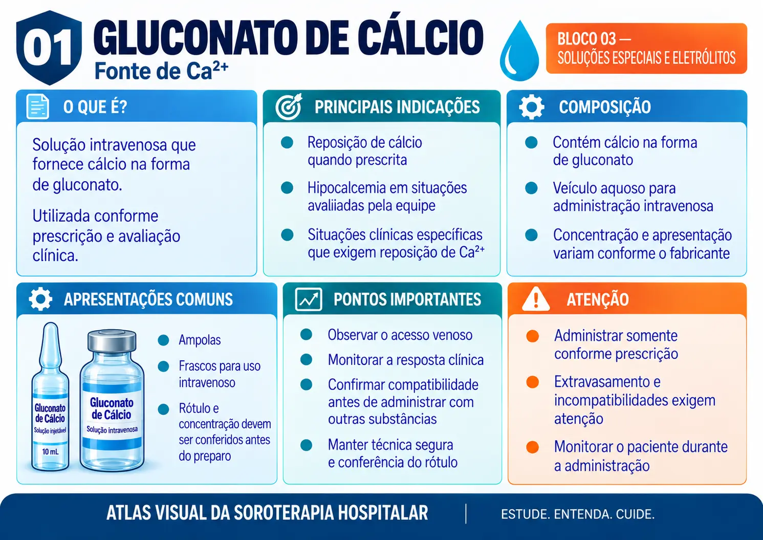Prévia de ficha visual de soroterapia 1