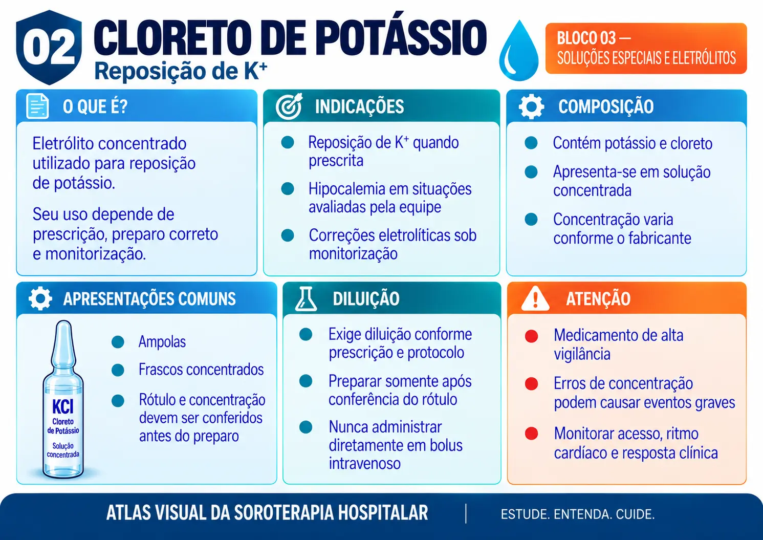 Prévia de ficha visual de soroterapia 2
