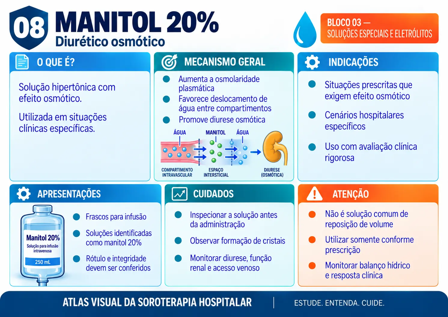 Prévia de ficha visual de soroterapia 3