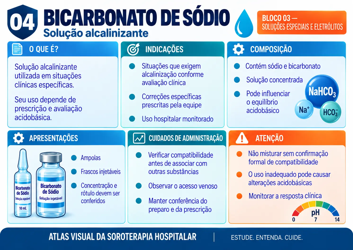 Prévia de ficha visual de soroterapia 4